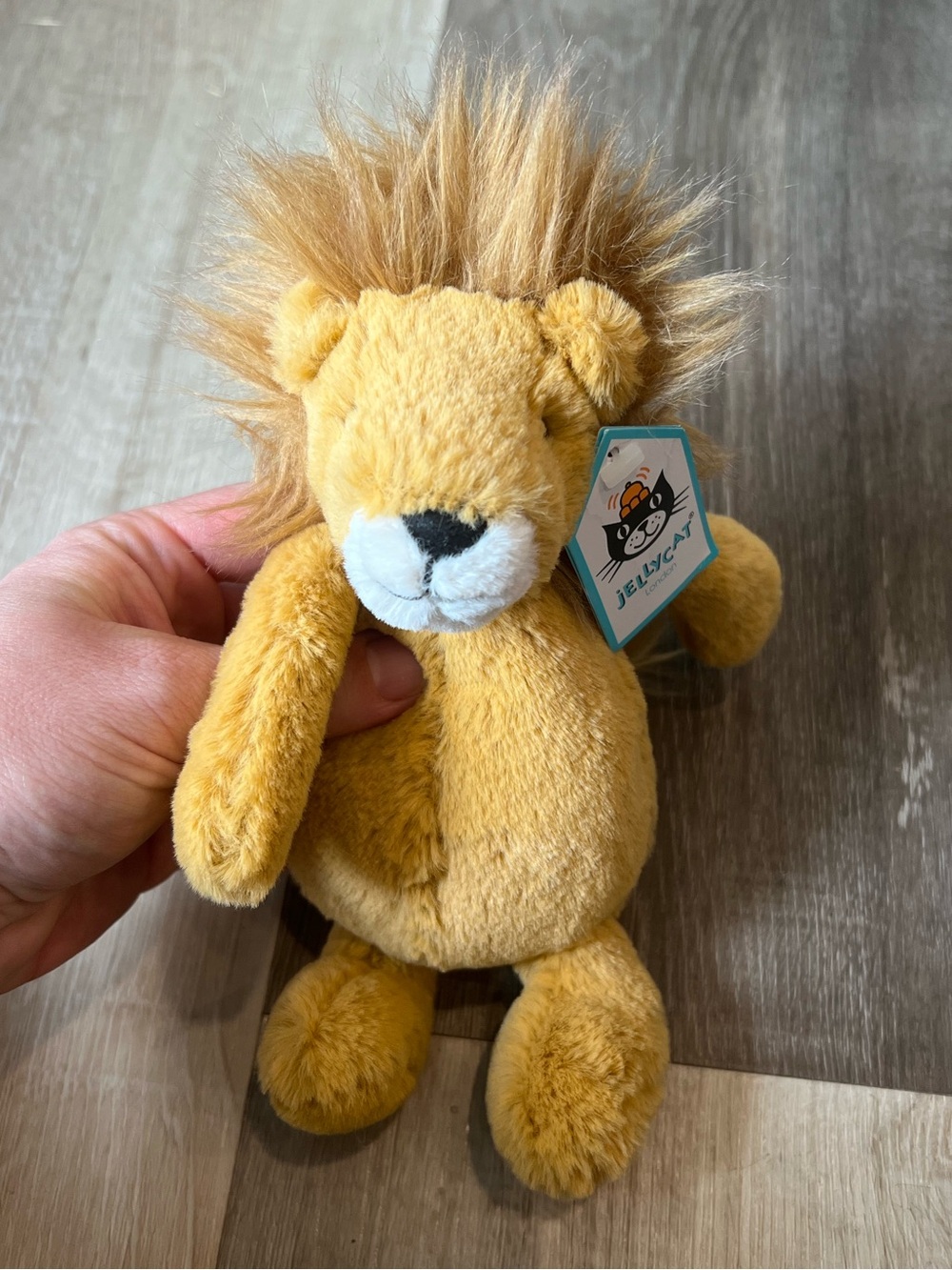 NWT Jellycat Bashful Lion Plush Small 8” Retired